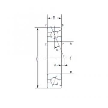 12 mm x 24 mm x 6 mm  NACHI 7901C Husillo de alta precisión para cojinetes de torno