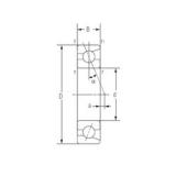 12 mm x 24 mm x 6 mm  NACHI 7901C Husillo de alta precisión para cojinetes de torno