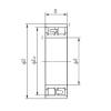 180 mm x 280 mm x 74 mm  NACHI NN3036 ACTBB sellado para rodamiento de soporte de tornillo de bola